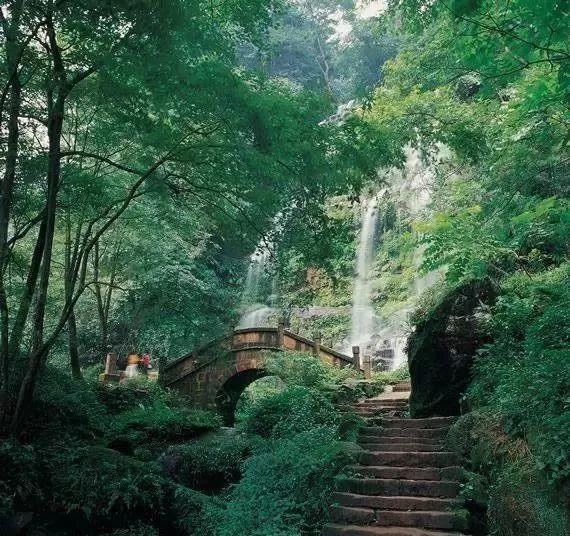 天寒地冻,守着热辣鲜香的川渝火锅,鸭肠鹅肠黄喉毛肚千层涮起来